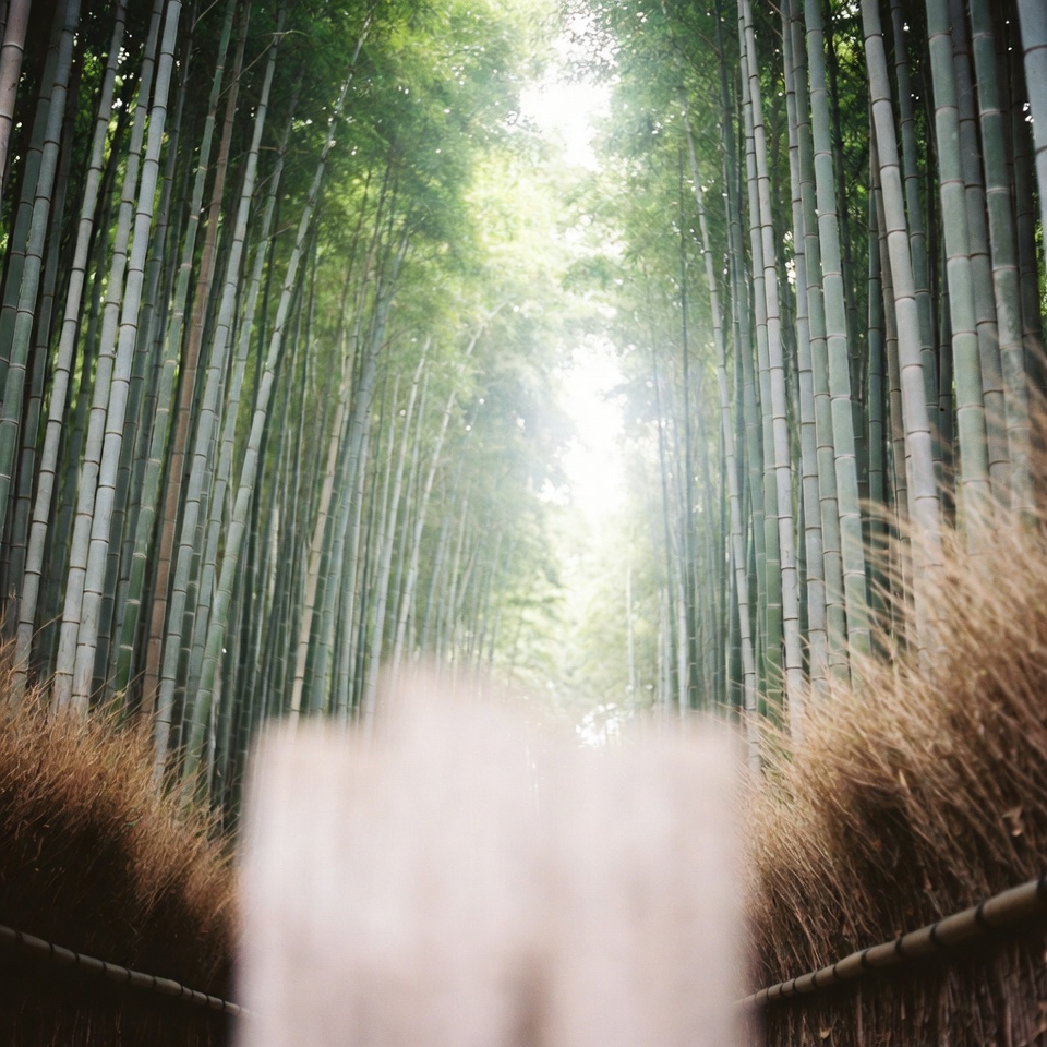 こんなこと、今まで知らなかったなんて信じられない