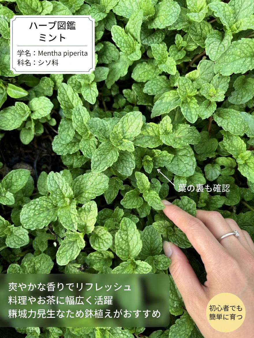 2026年に家庭に必ず備えておきたい自然災害用緊急キット