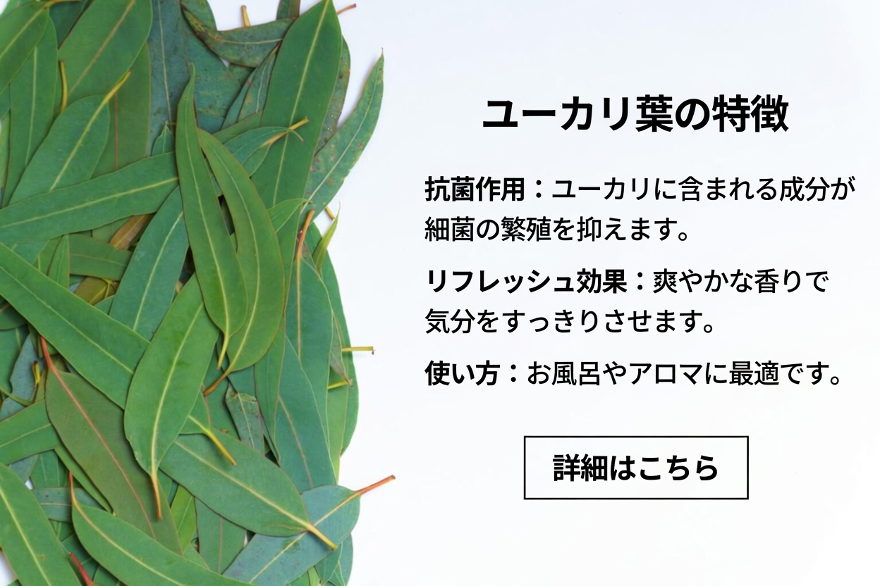 ユーカリ茶 ― 何に効く？健康と美容への効果・効能