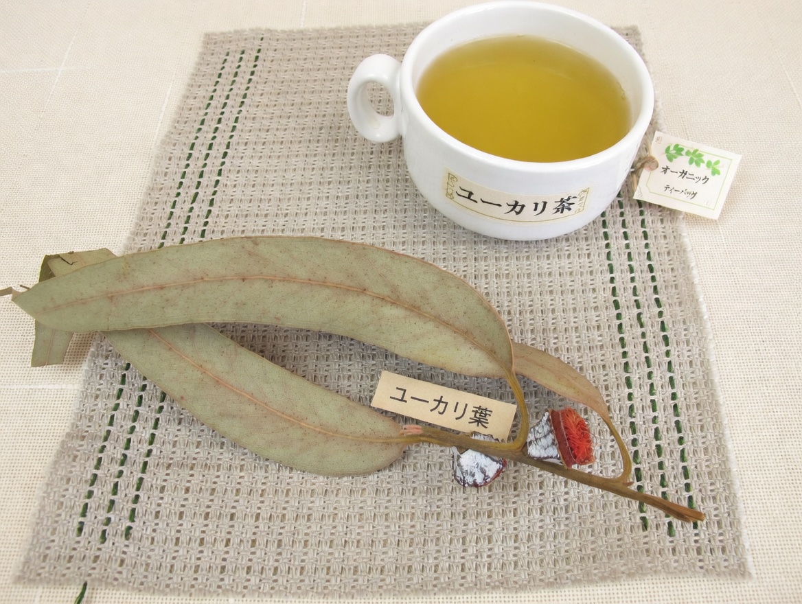 ユーカリ茶 ― 何に効く？健康と美容への効果・効能