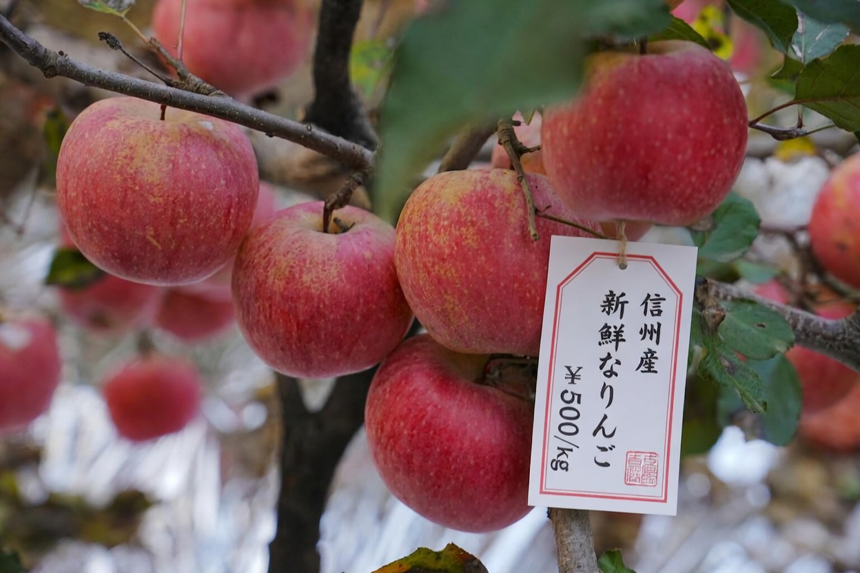 60歳以降の筋肉を守る夜に食べたい果物7選(サルコペニアを自然に防ぐ)