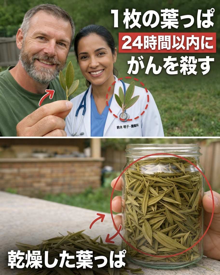 注目を集める葉：グラビオラの葉とウェルネスへの可能性を探る