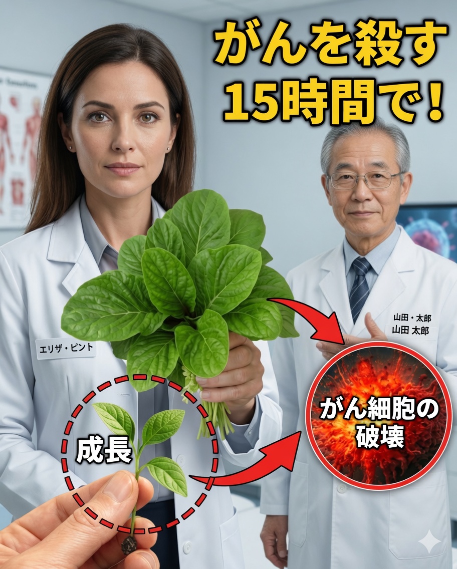 あなたの健康を永遠に変えうる葉