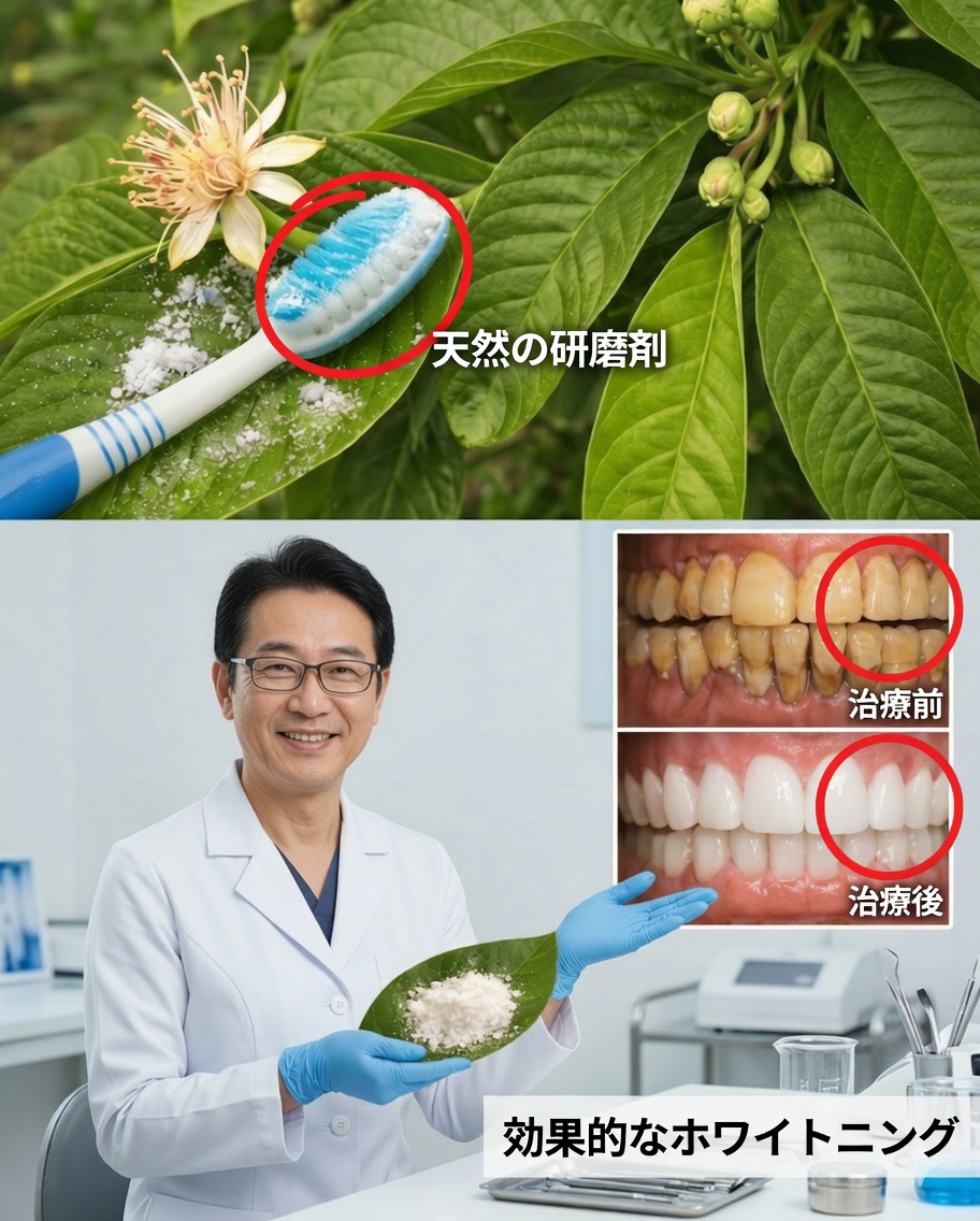 虫歯をグアバの葉で治療するトップ3の方法 ― 簡単で経済的