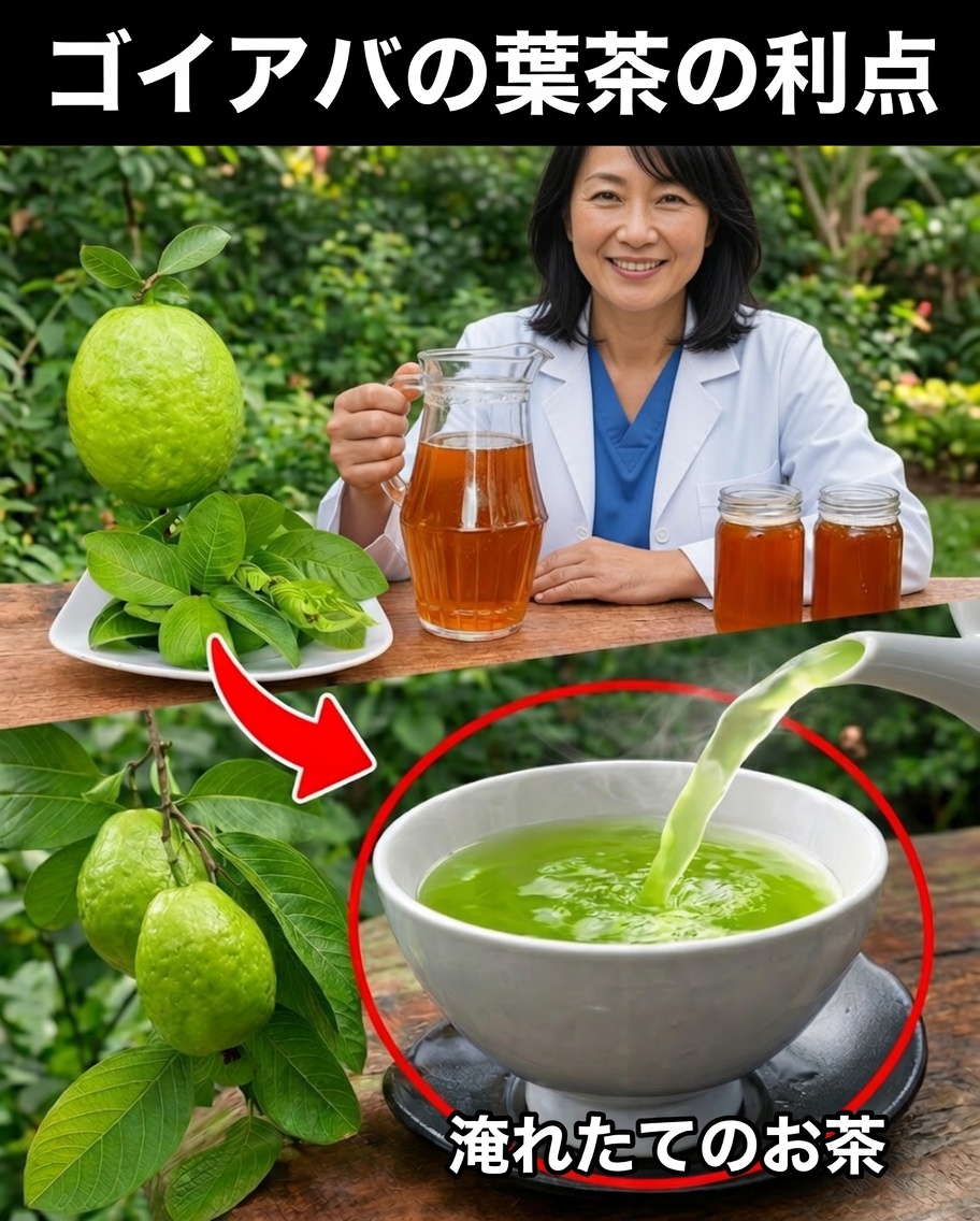 週に2回グアバの葉のお茶を飲むべき17の理由