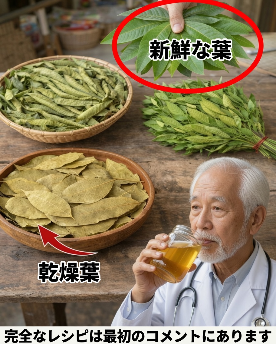 4つの薬用葉：アボカド、マンゴー、ローリエ、グアバ――あなたの健康のための自然からの贈り物