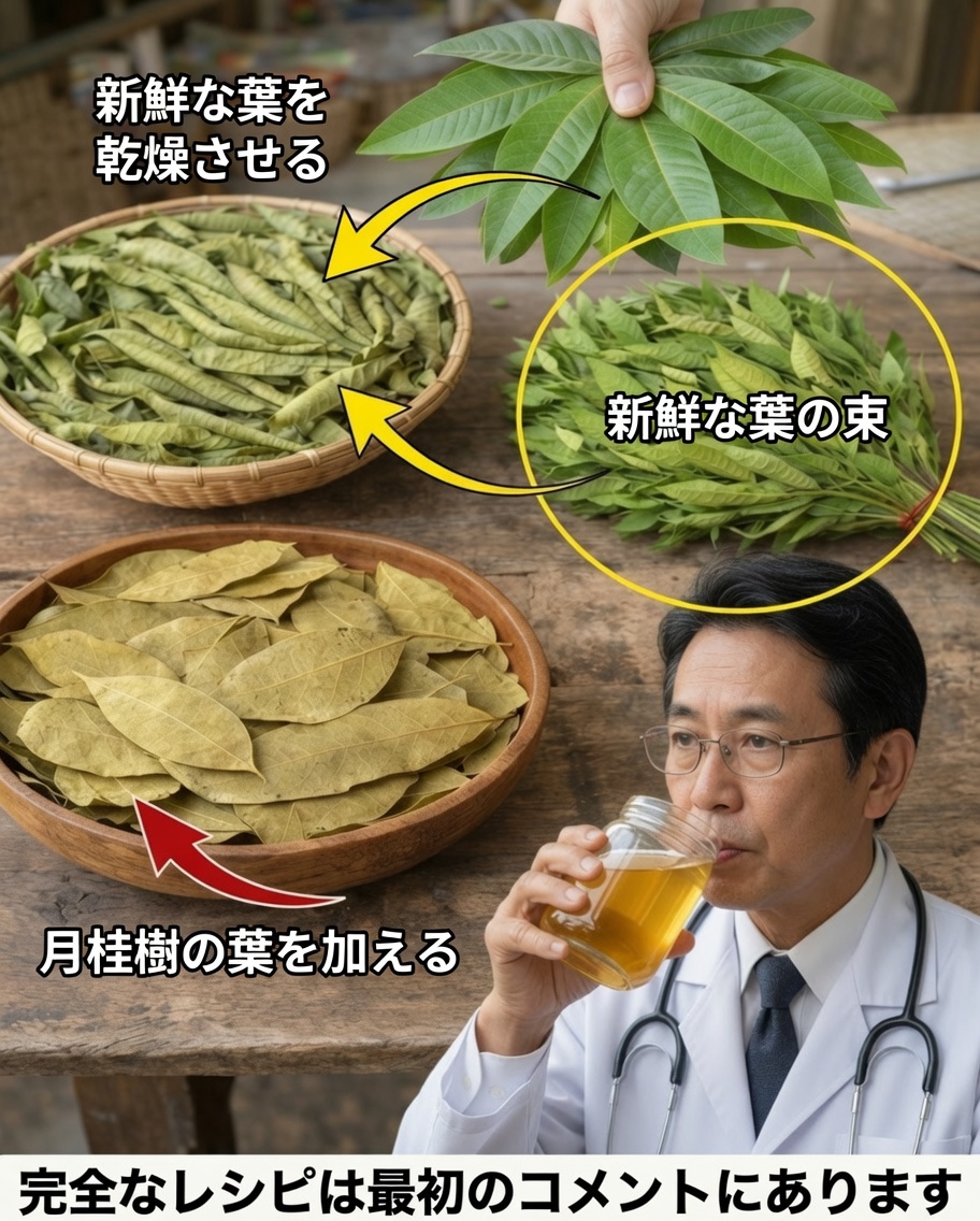 4つの薬用葉：アボカド、マンゴー、ローリエ、グアバ — あなたの健康のための自然からの贈り物