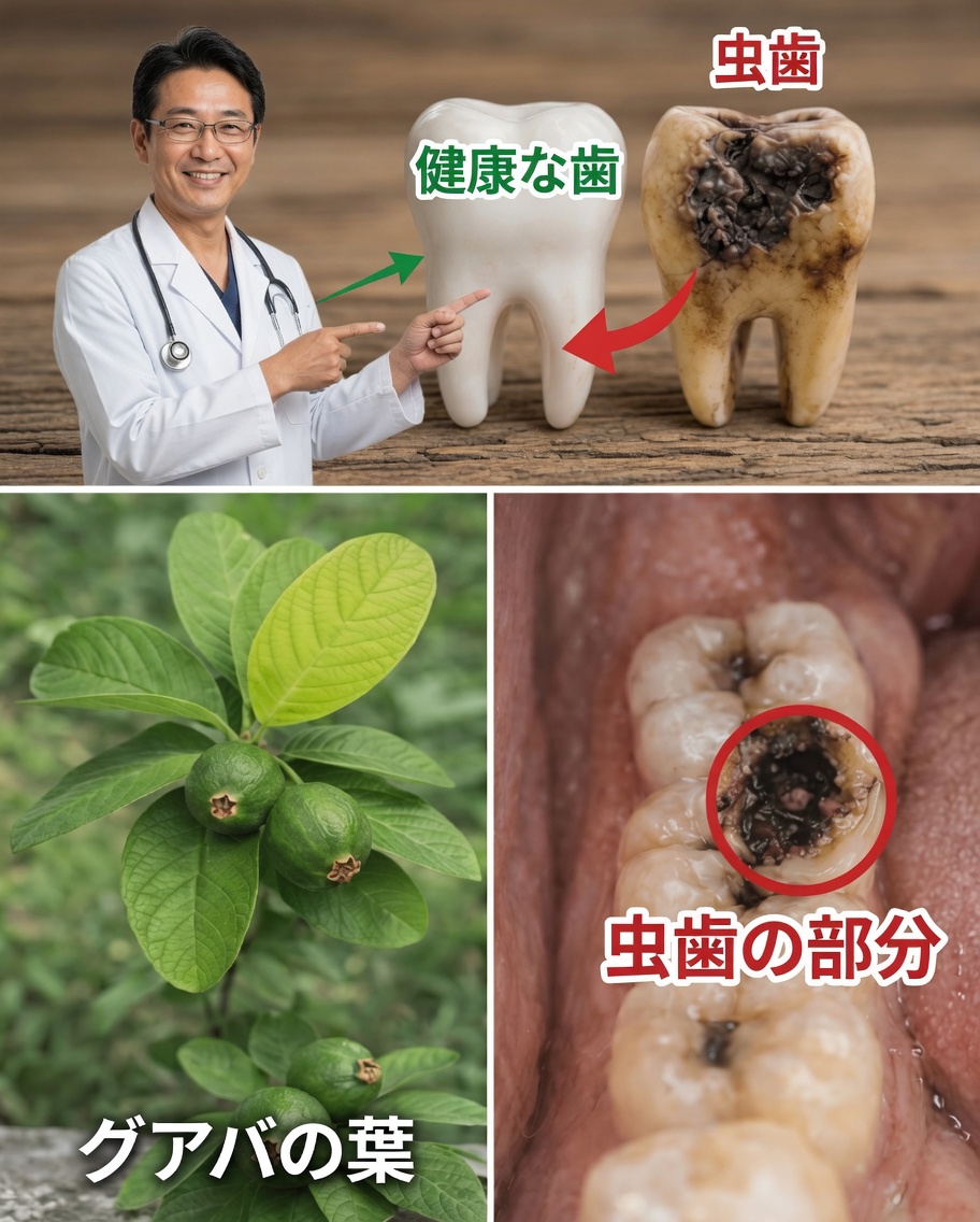 葉で自然に笑顔を明るく：グアバの葉を使った簡単な家庭療法