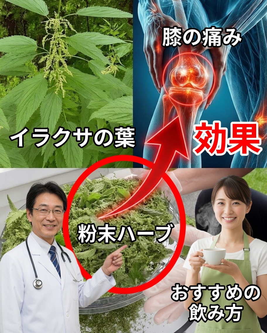 セイヨウイラクサ（Urtica dioica）の力：関節痛、関節炎、炎症を和らげる自然な道
