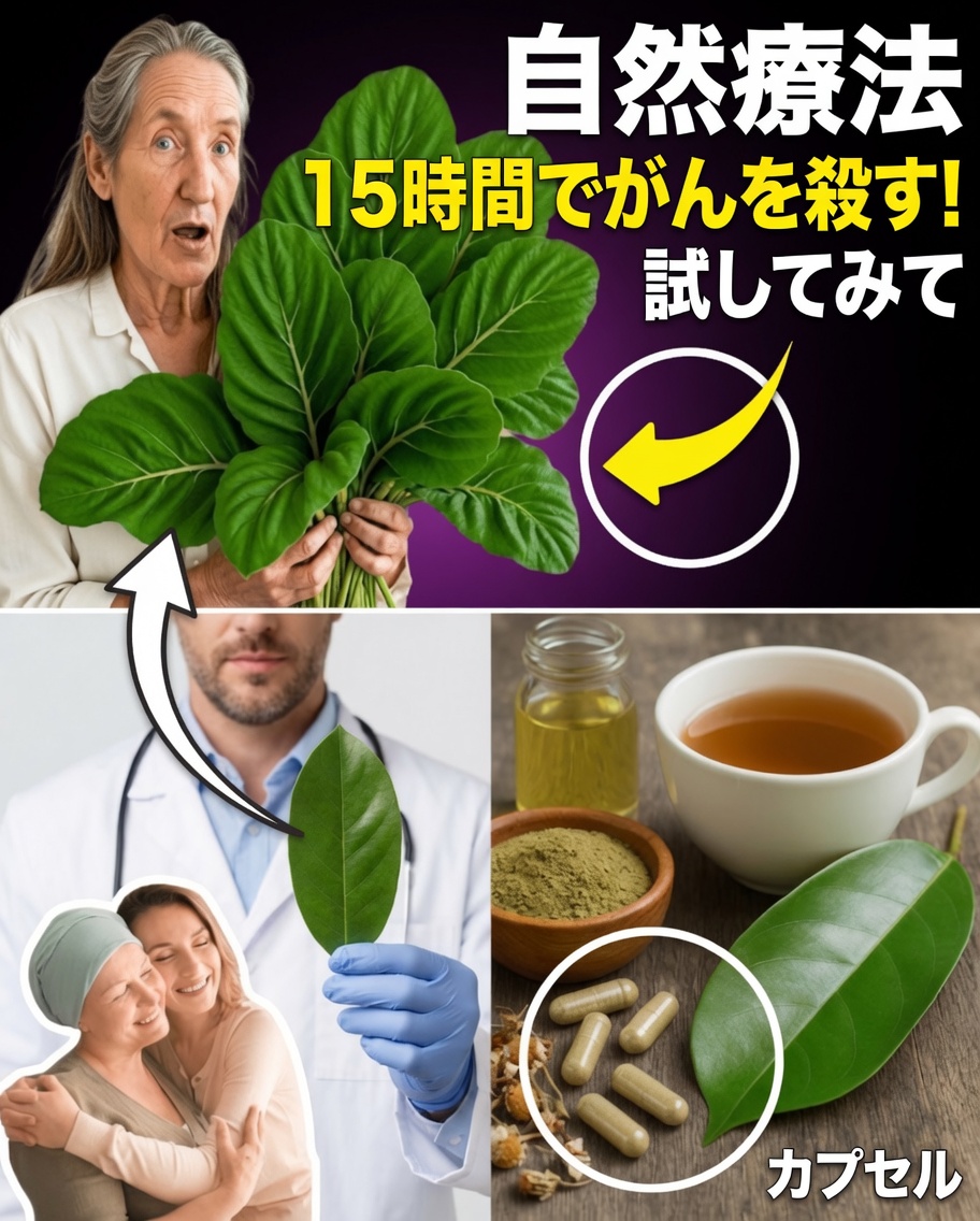 この古代の葉が現代に復活――あなたも検討すべき？