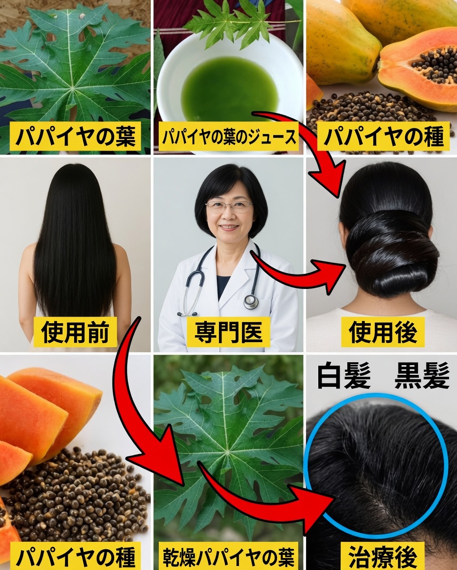 若々しい髪のためのパパイヤの葉：自然の力で、より黒く、より強く、輝く髪へ