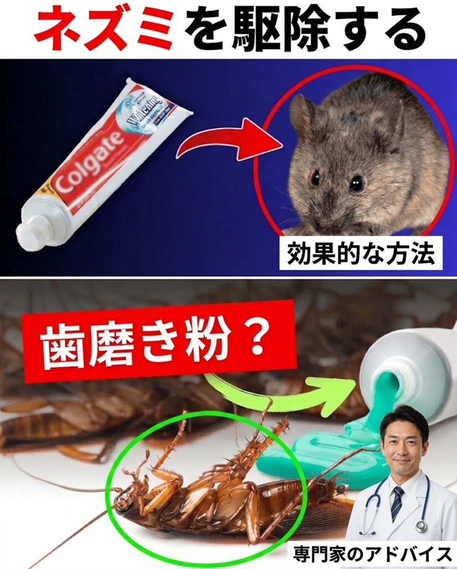 驚きの自家製ハック：歯磨き粉で害虫を撃退！