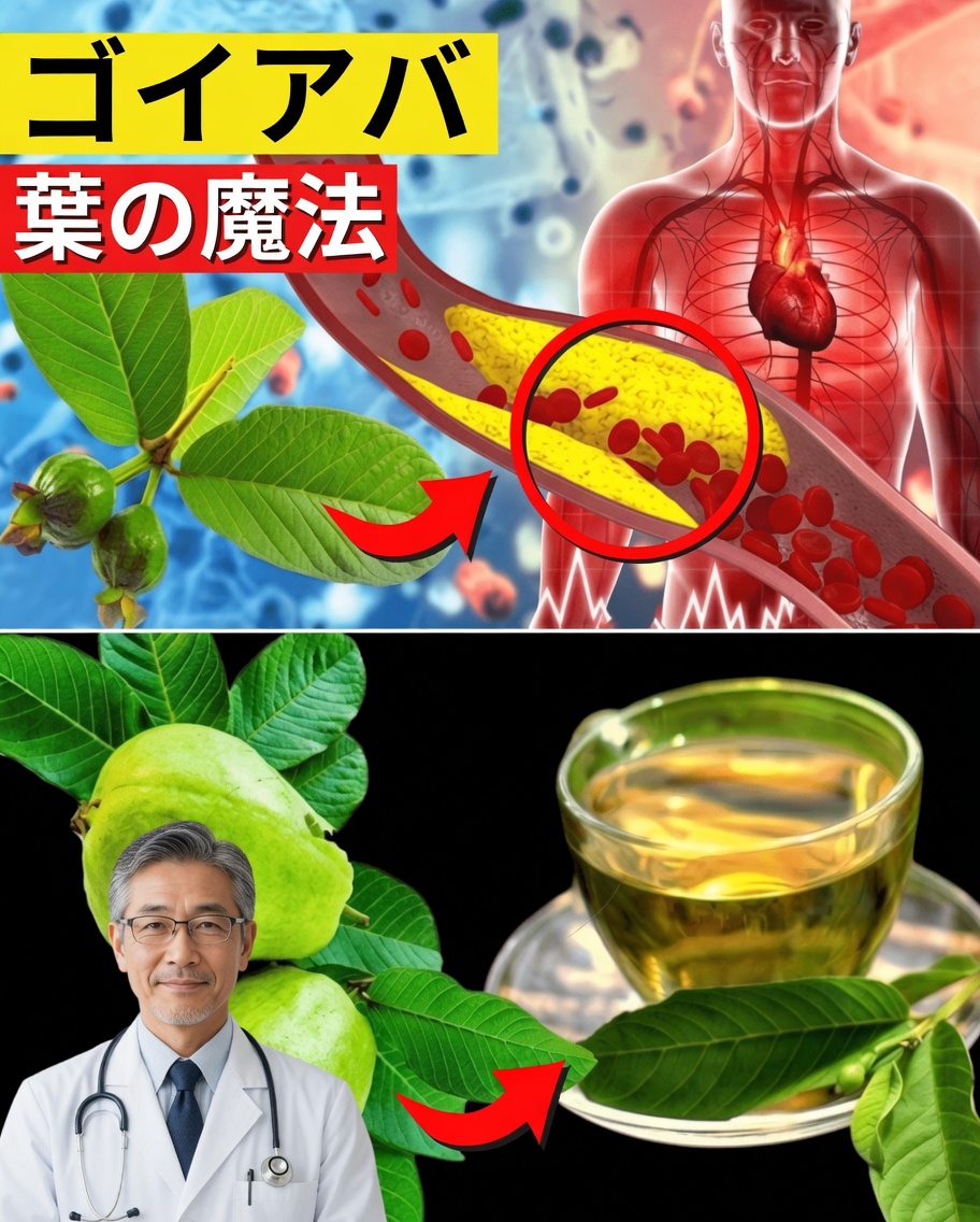 週に2回グアバの葉茶を飲むべき17の強力な理由