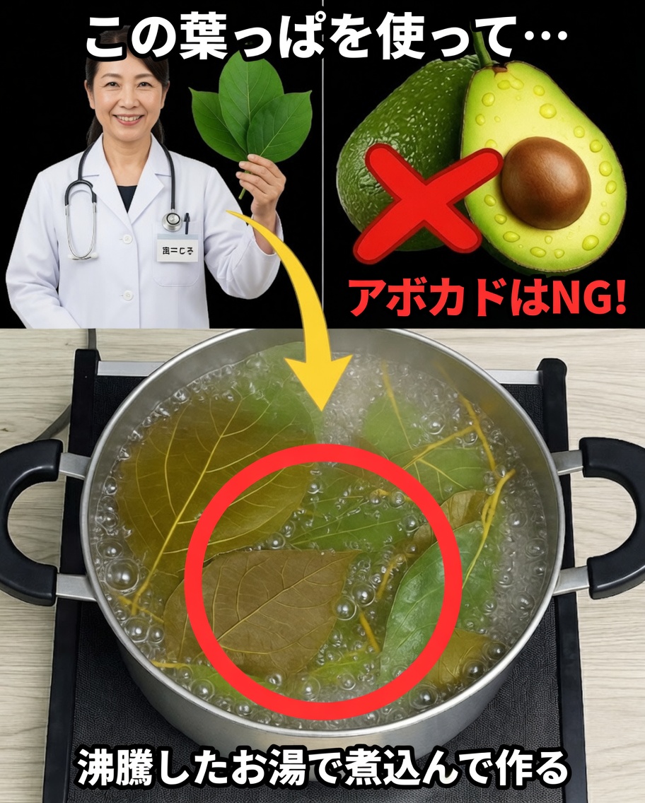 アボカドの葉が明らかに：ほとんど誰も使わない天然のスーパーフード