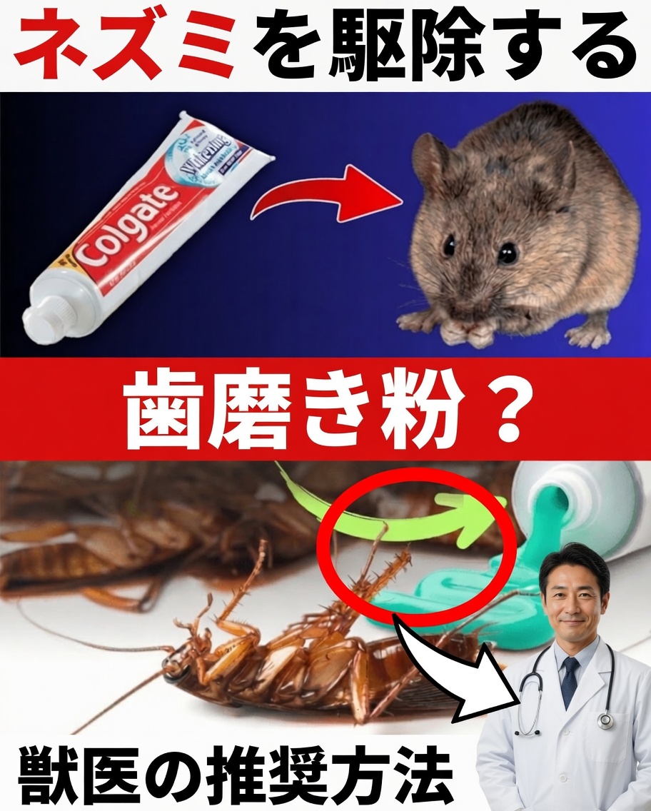 家庭の害虫を自然に遠ざけるのに役立つ驚きの歯磨き粉テクニック